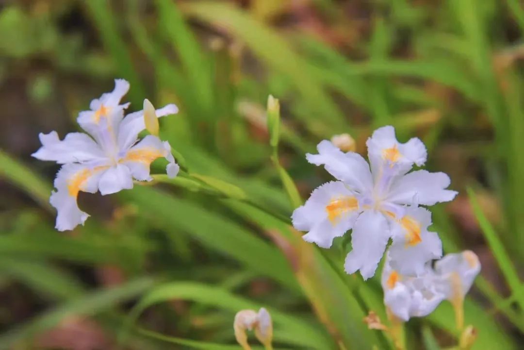 PP电子(中国集团)有限公司官网