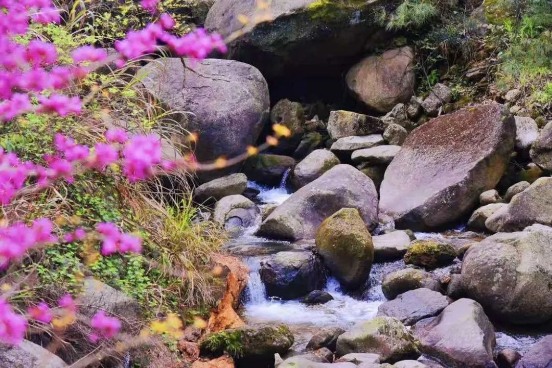 PP电子(中国集团)有限公司官网